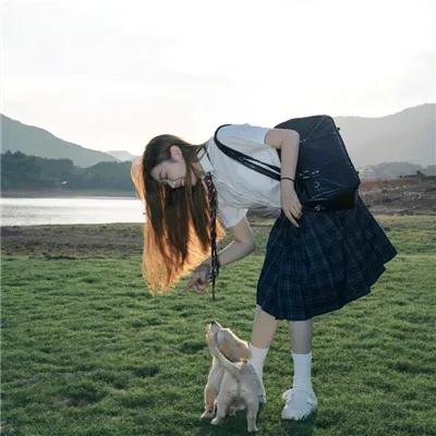 兔子和公牛